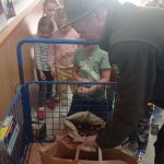 phoca_thumb_m_katnkovn 26 Fotogalerie